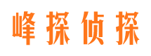 迎江峰探私家侦探公司